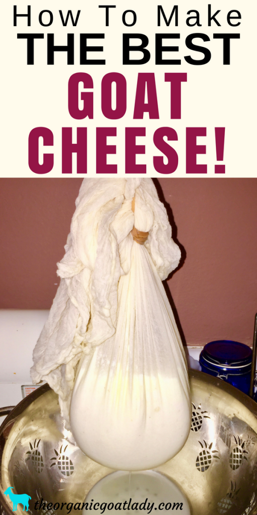 How To Make Goat Cheese! The Organic Goat Lady