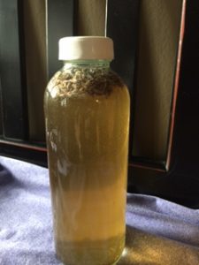 Lavender Lemon Kombucha 