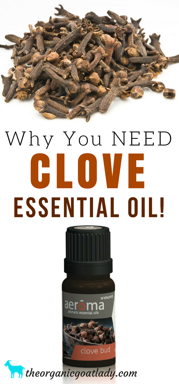Why You NEED Clove Essential Oil