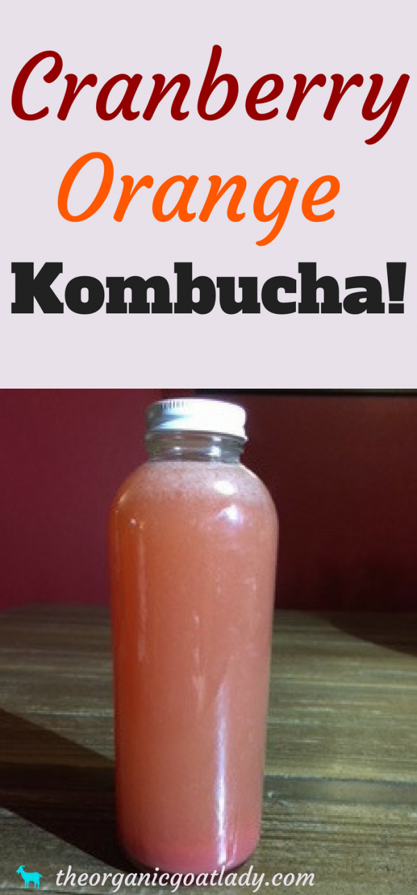 Orange Cranberry Kombucha Recipe! - The Organic Goat Lady