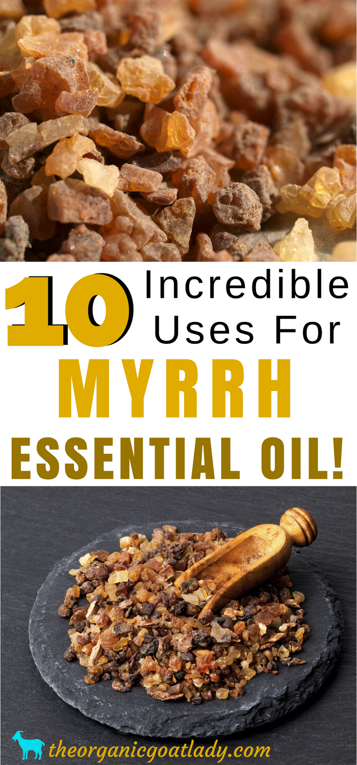 Myrrh Oil Uses and Benefits