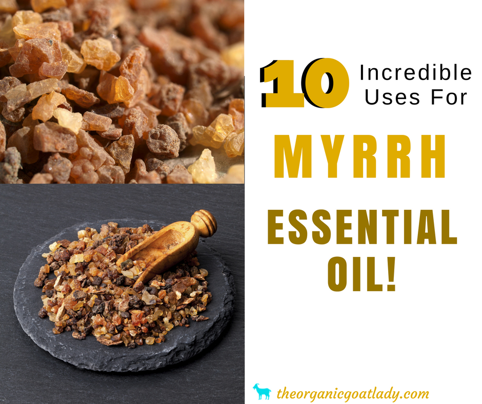 10 Incredible Uses For Myrrh Essential Oil!