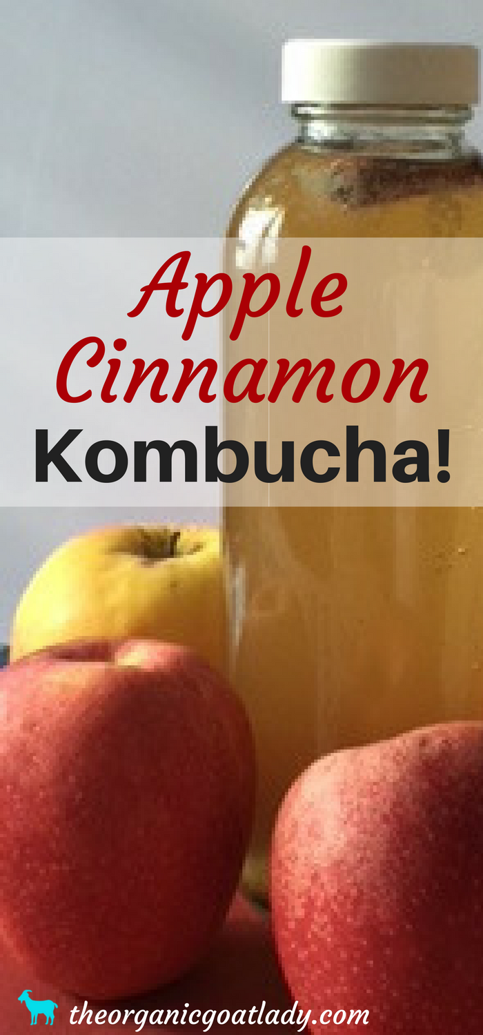 Apple Cinnamon Kombucha!