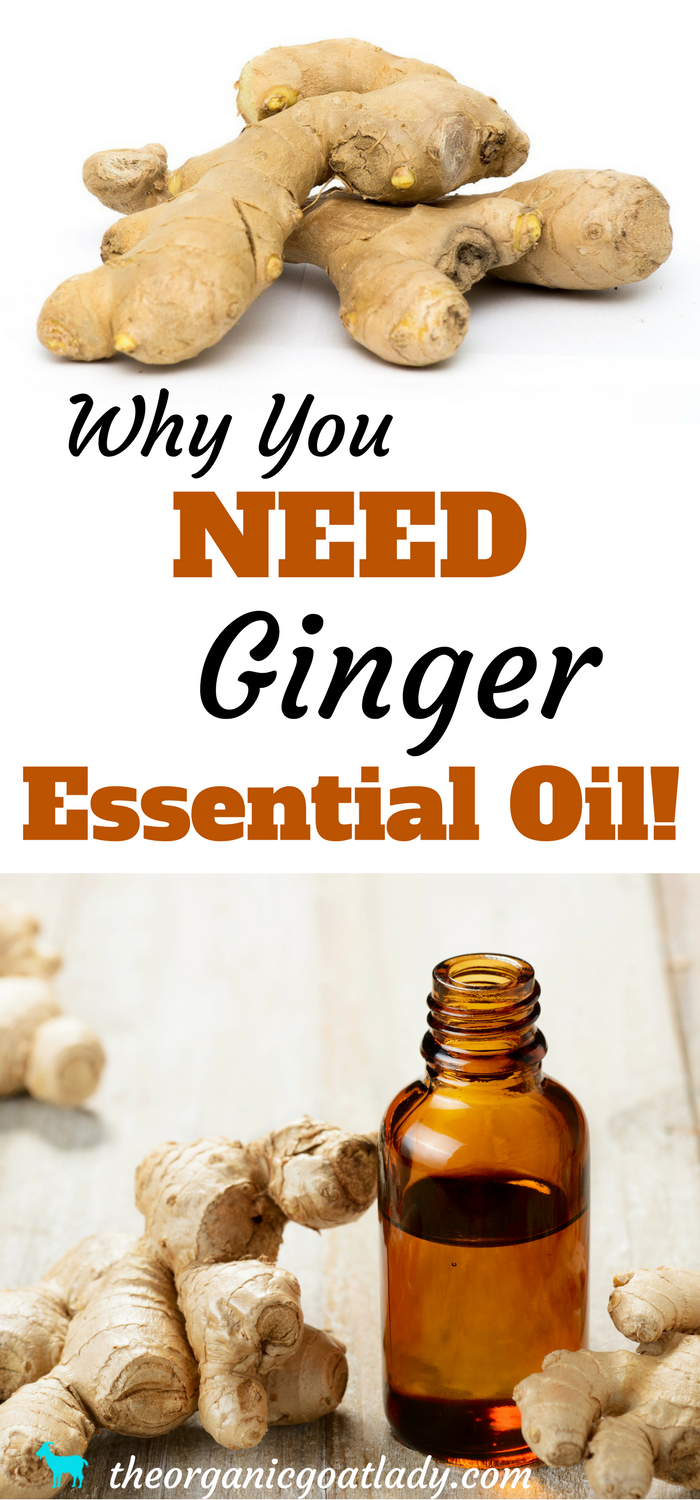 Why You NEED Ginger Essential Oil!