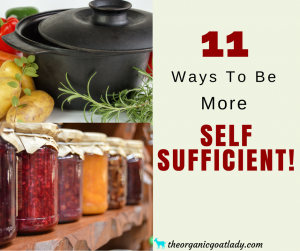 11 Ways To Be More Self Sufficient!