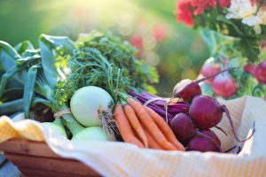 Vegetable Garden