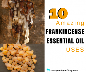 10 Amazing Frankincense Essential Oil Uses!