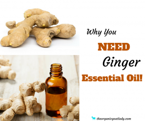 Why You NEED Ginger Essential Oil!