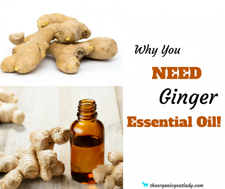 Why You Should Use Ginger Essential Oil! The Organic Goat Lady
