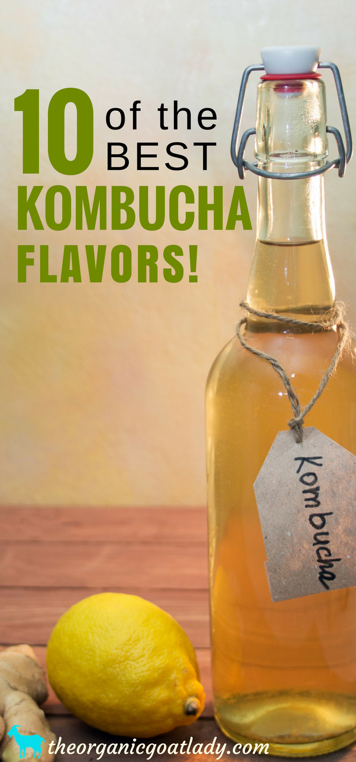 10 of the Best Kombucha Flavors!