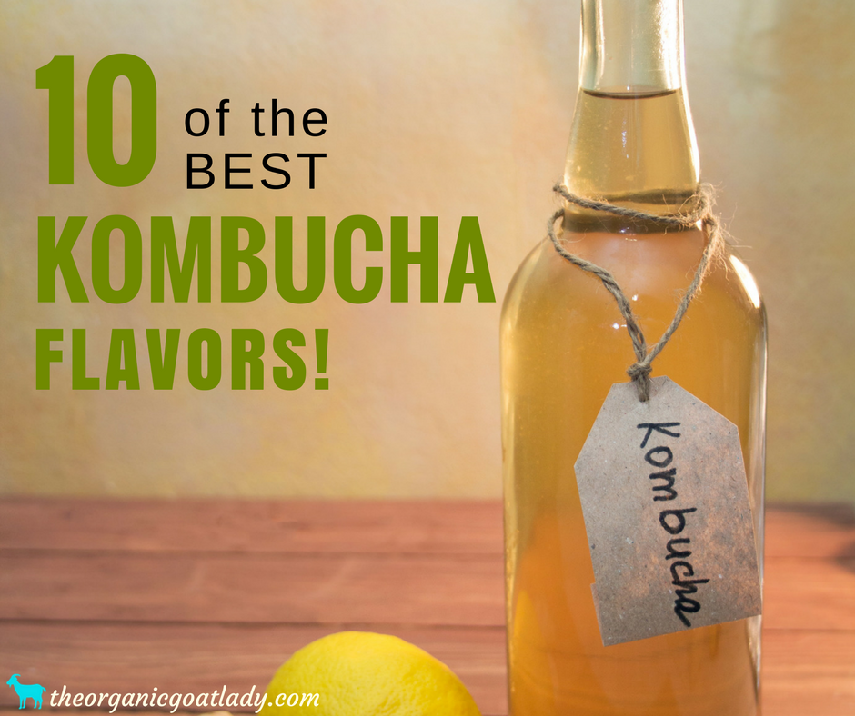 Kombucha Recipe: 10 Amazing Kombucha Flavors That You Will LOVE!