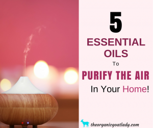 5 Essential Oils To Purify The Air In Your Home!