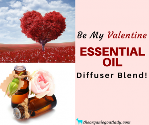 Be My Valentine Essential Oil Diffuser Blend