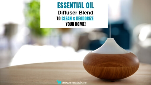 Clean Home Deodorizing Essential Oil Diffuser Blend!