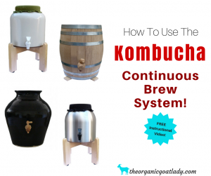 How To Use The Kombucha Continuous Brew System Instructional Video