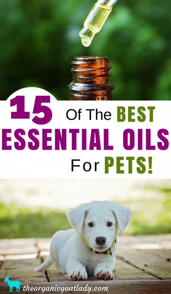 15 Essential Oils For Pets! The Organic Goat Lady