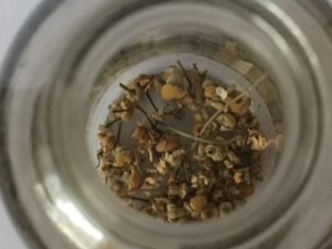 Chamomile Kombucha