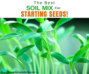 The Best Soil Mix For Starting Seeds