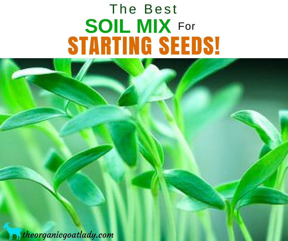 The Best Seed Starting Mix