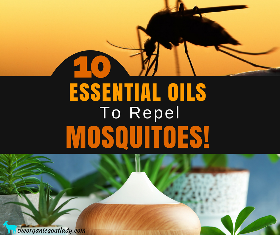 What Essential Oils Does Mosquitoes Hate