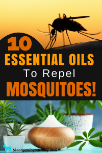 10 of the Best Essential Oils For Mosquitoes! - The Organic Goat Lady