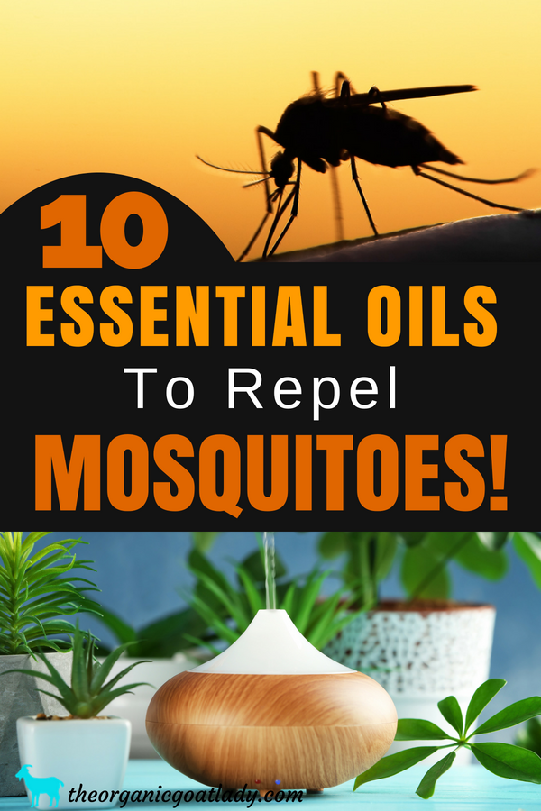 Essential Oils For Mosquitoes