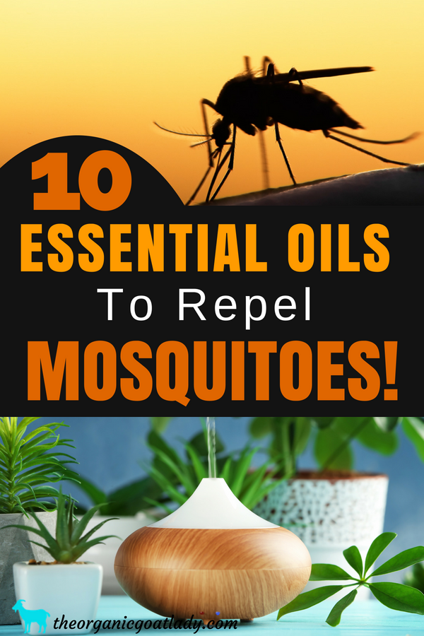 What Essential Oils Will Repel Mosquitoes