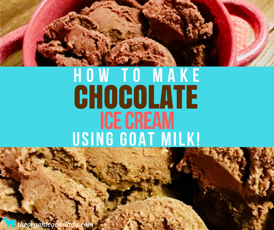 Chocolate Ice Cream Made With Goat Milk!