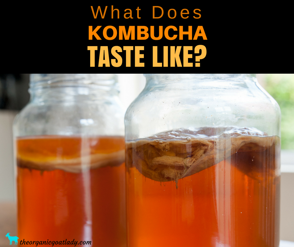 What Does Kombucha Taste Like?