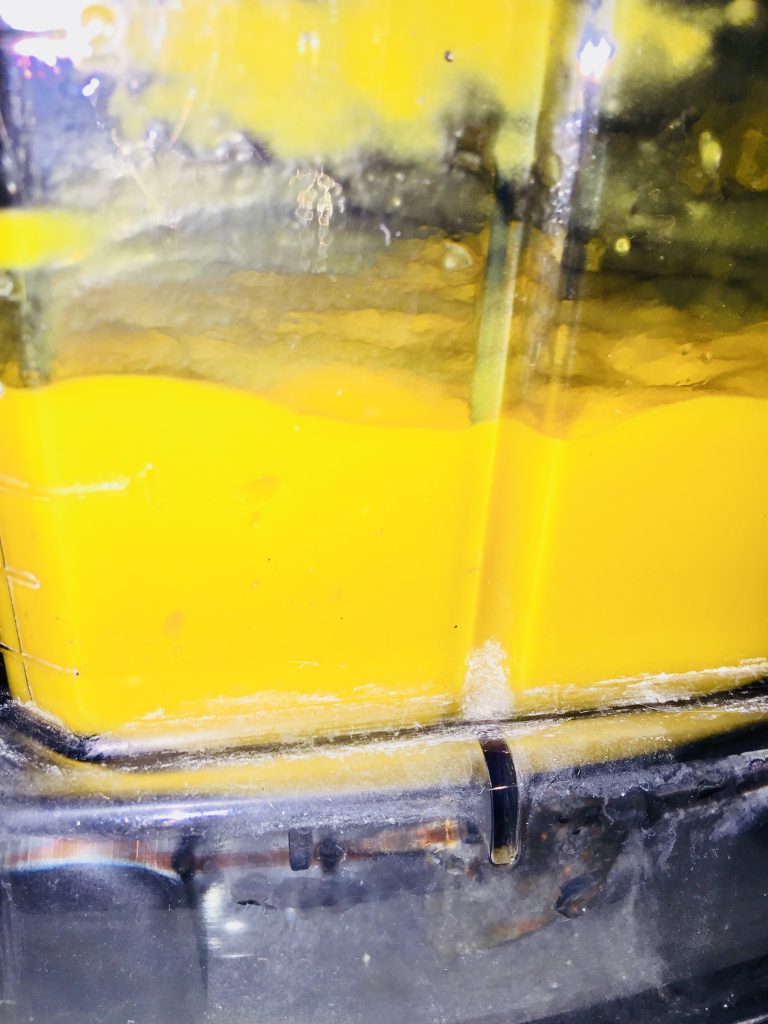 Mango Puree