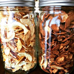 Dehydrating Apples