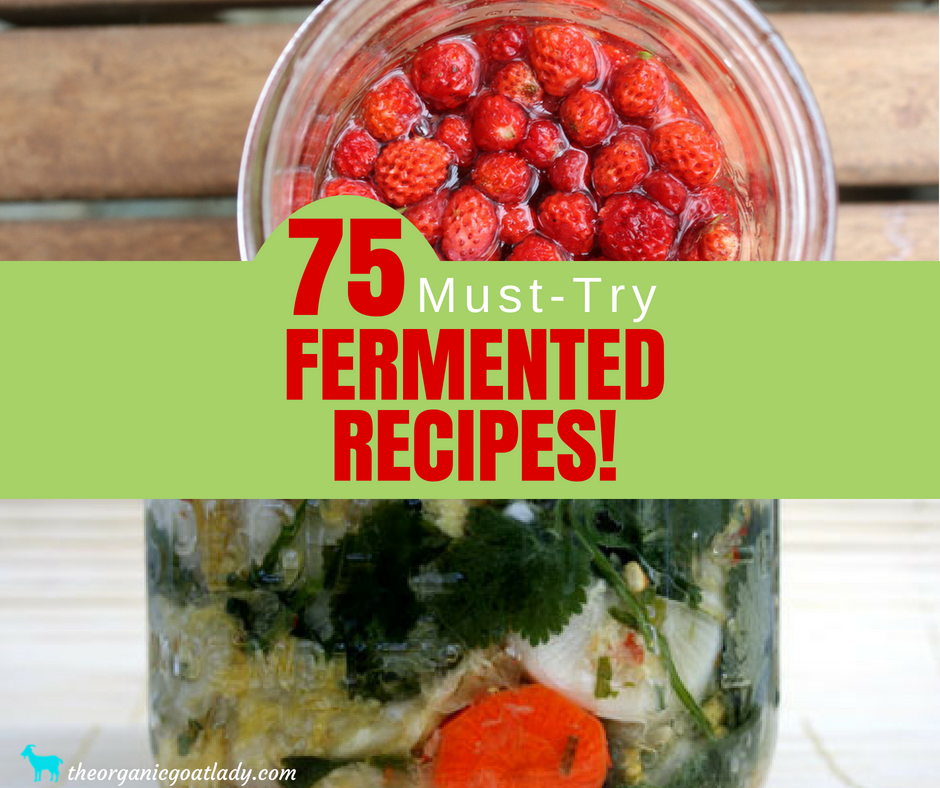 75 Fermented Foods Recipes!