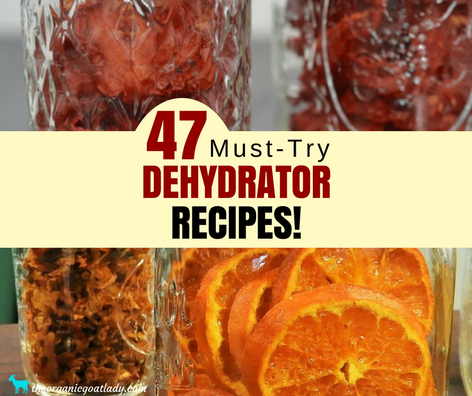 Food Dehydrator Recipes