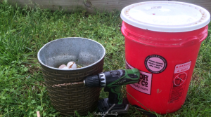 5 Gallon Bucket Compost