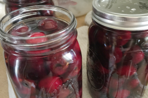 Canning Fruit