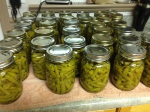 Canning Beans