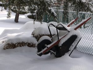 Composting In Winter