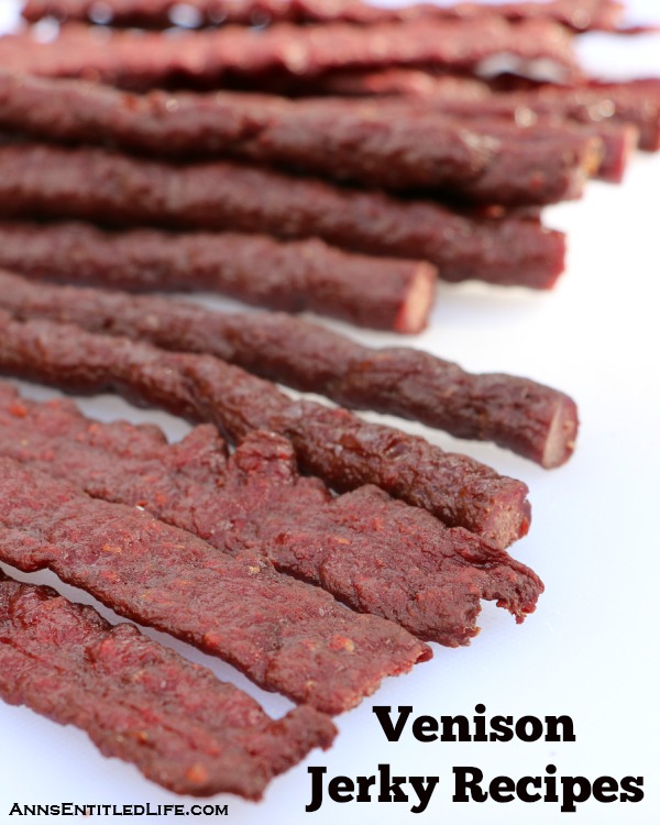 Hickory Smoke Beef Jerky Recipe for a Food Dehydrator - DIY Danielle®