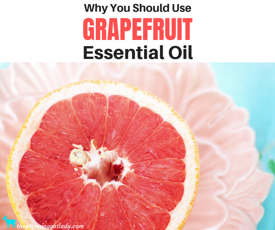 Why You Should Use Grapefruit Essential Oil The Organic Goat Lady