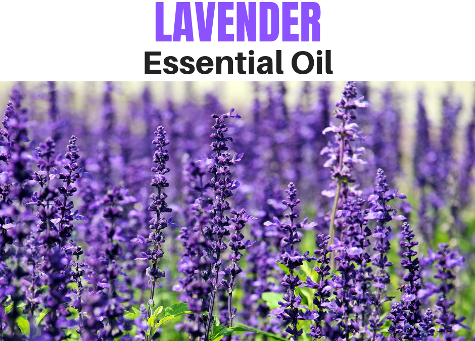 Why You Should Use Lavender Essential Oil