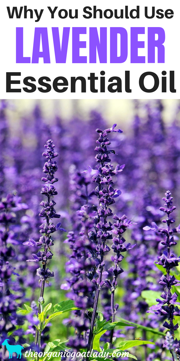 How to use Lavender Essential oil