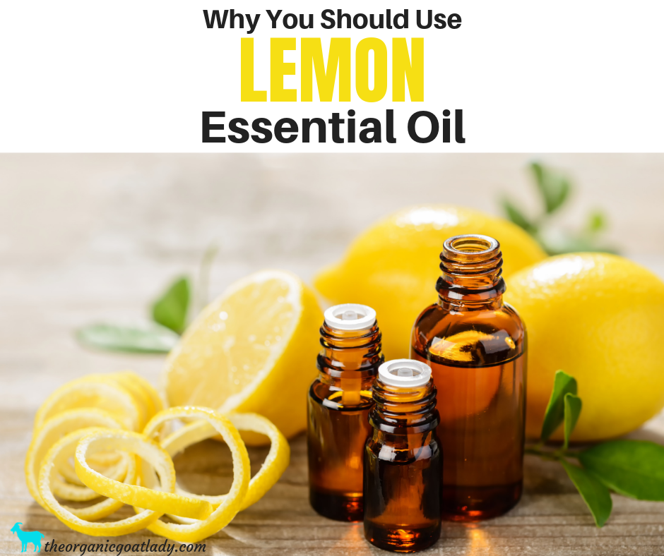 Why You Should Use Lemon Essential Oil - The Organic Goat Lady