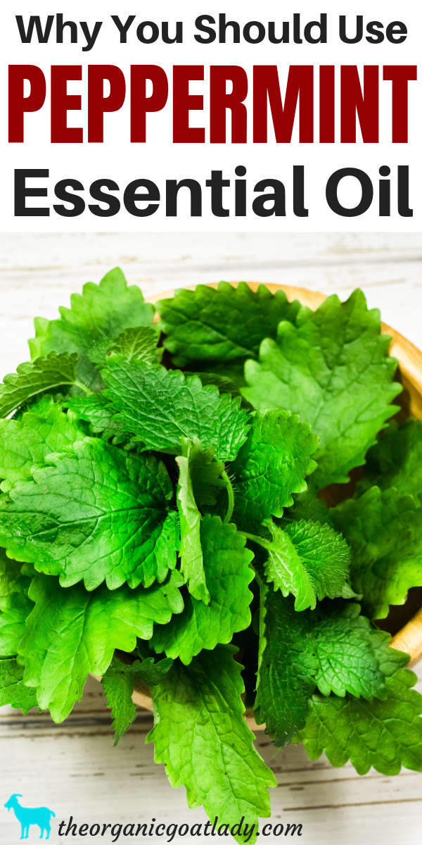 peppermint essential oil benefits