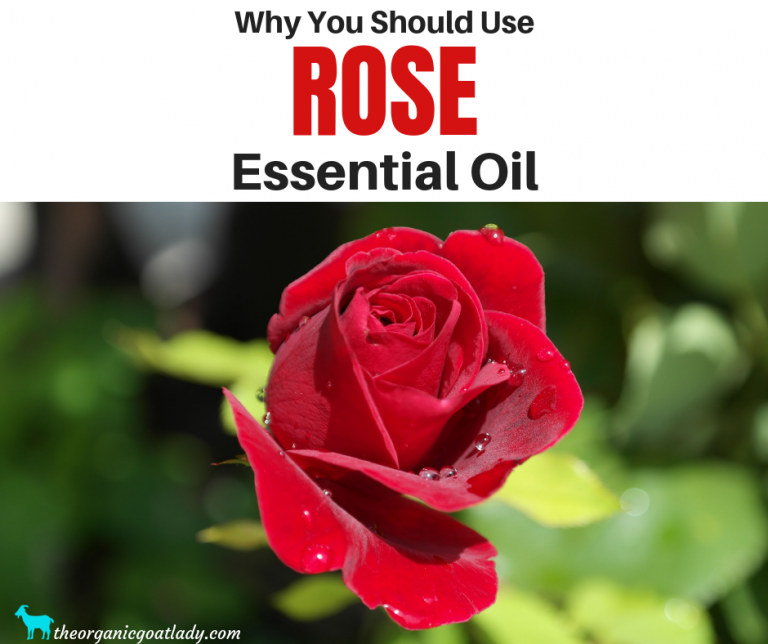 13 Essential Oils to Repel Snakes! The Organic Goat Lady