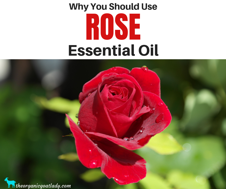13 essential oils to repel snakes the organic goat lady