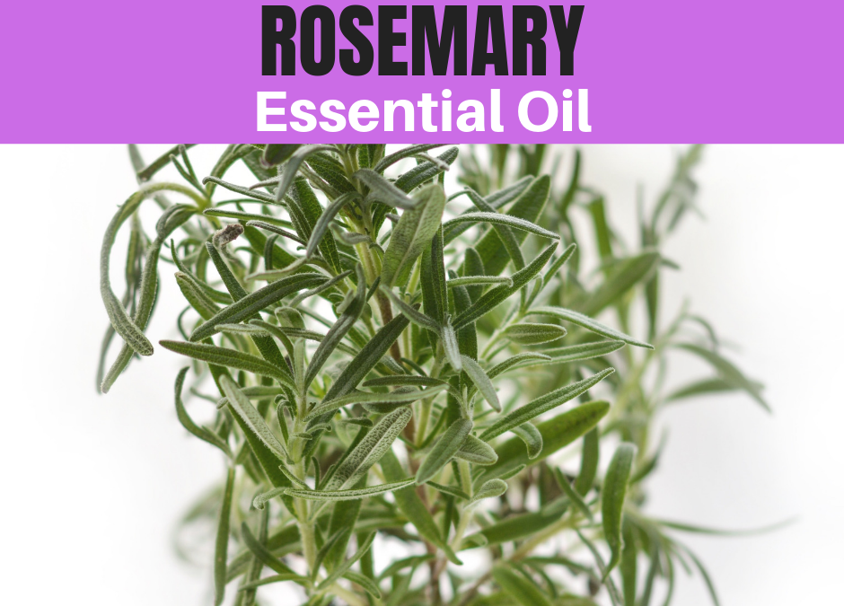 Why You Should Use Rosemary Essential Oil