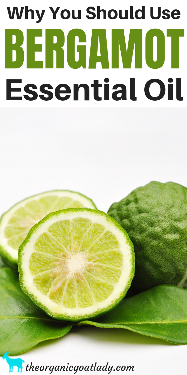 Bergamot Essential Oil - What are the benefits?