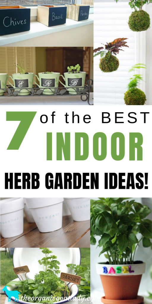 7 of the Best Indoor Herb Garden Ideas! - The Organic Goat Lady