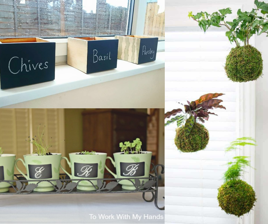 indoor herb garden download