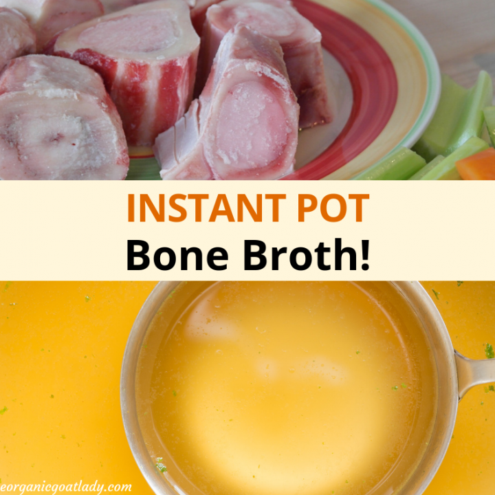 Instant pot lamb bone broth new arrivals